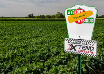 Un herbicida común podría dañar a los bebés