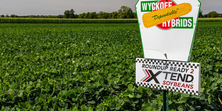 Un herbicida común podría dañar a los bebés