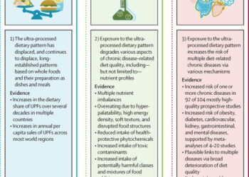 Alimentos ultraprocesados ​​y salud humana: la tesis principal y la evidencia