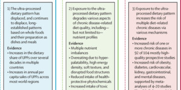 Alimentos ultraprocesados ​​y salud humana: la tesis principal y la evidencia