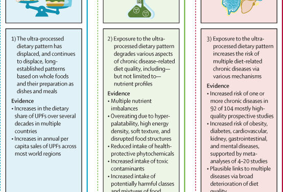 Alimentos ultraprocesados ​​y salud humana: la tesis principal y la evidencia